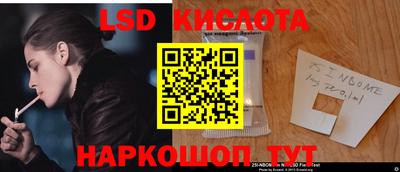 крисы Новокубанск