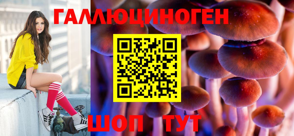 Псилоцибиновые грибы Magic Shrooms  Вход с VPN  Тольятти  Псилоцибиновые грибы мухоморы 